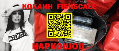 винт Партизанск