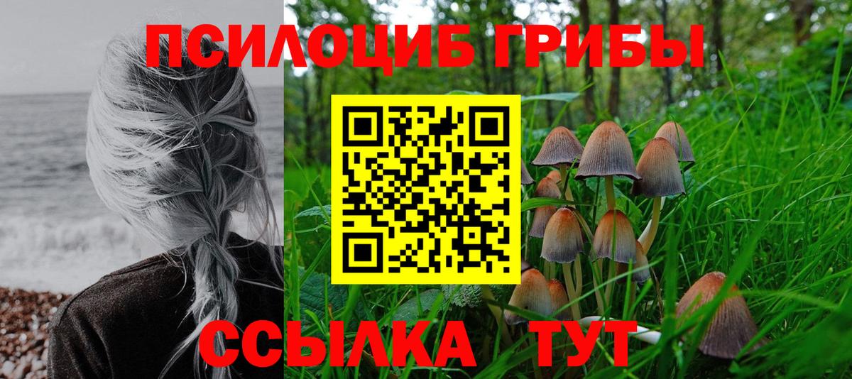 Галлюциногенные грибы GOLDEN TEACHER  Вход с VPN  Галлюциногенные грибы мицелий  Усинск 