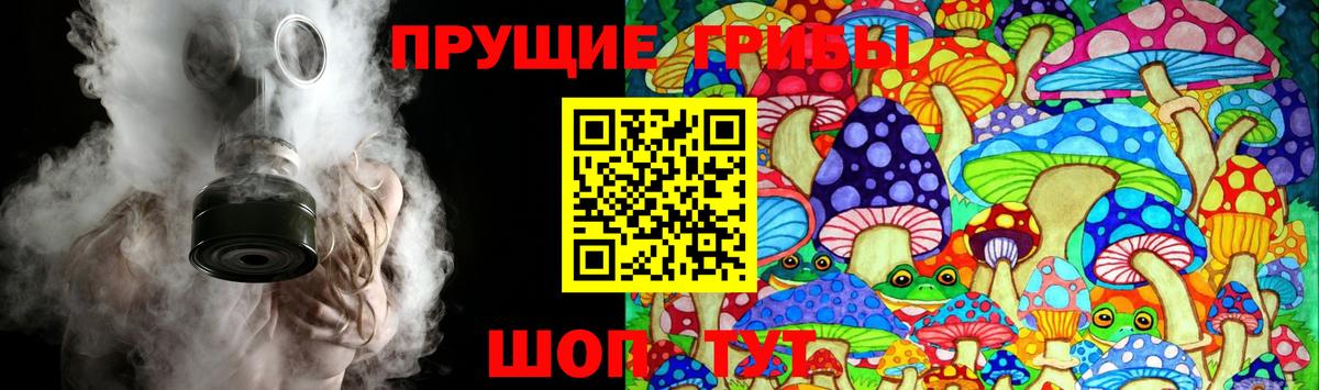 Псилоцибиновые грибы мицелий Усинск